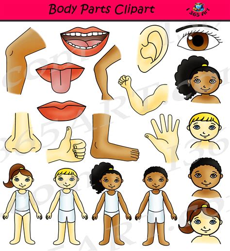 body parts cartoon image|free cartoon body clip art.